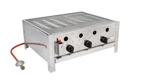 Gasgrill GGB 2