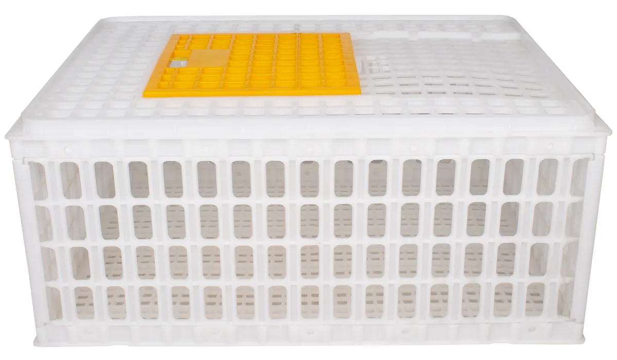 Transportlåda för höns och fågel